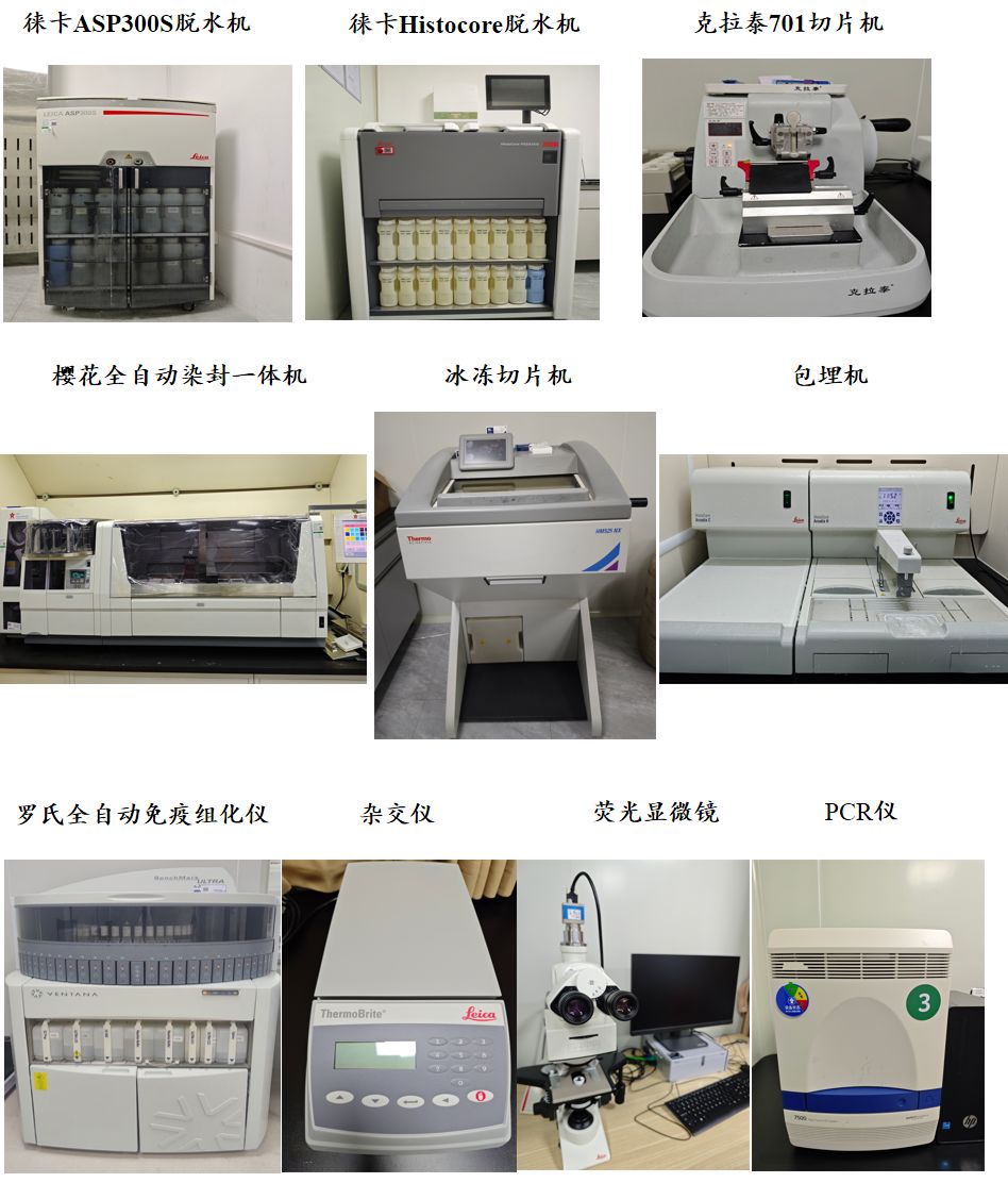 3ba50d02-80e6-4285-b529-d9242805c824_副本.jpg