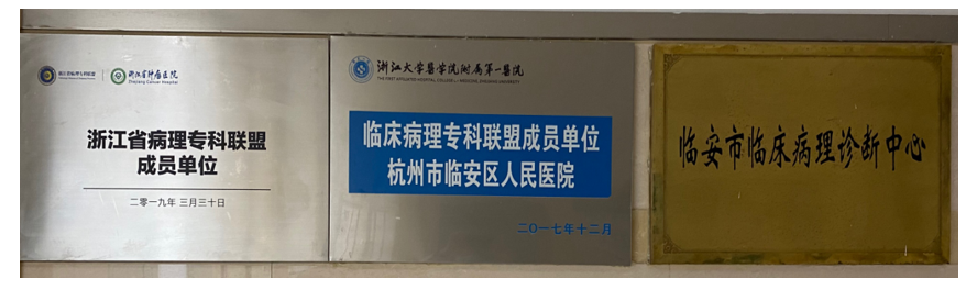 d717e880-f730-46aa-8d37-62ec3d64e372.png